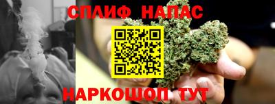 СК Бузулук