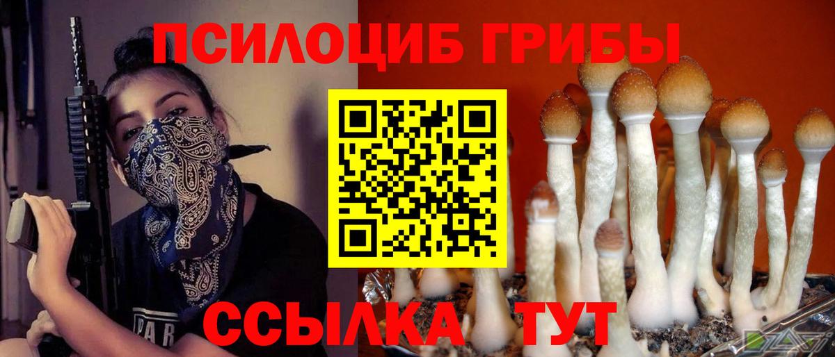 Галлюциногенные грибы Psilocybine cubensis  где продают наркотики  Борзя  Вход с VPN 